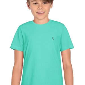 Allen Solly Boys’ Crew Neck T‑Shirt | Solid Design with Signature Logo | Everyday Comfort Wear